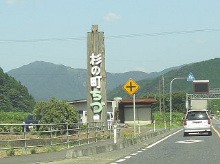 確かに杉の木が多いです。(^o^) 確かに杉の木が多いです。(^o^)