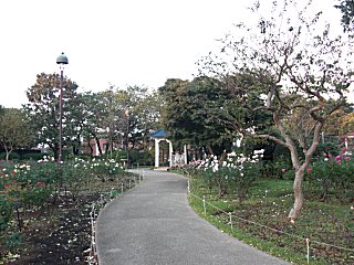�饸����������臘���θ�����ָ�����鯱�Ǥ���(^o^)