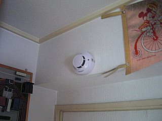 �����Ѳкҷ������դ��ޤ�����(^o^)
