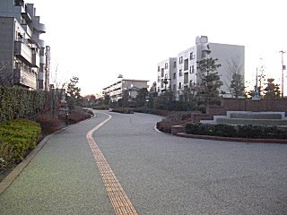 ͷ��ƻ���⤤�Ƥߤޤ�����(^o^)
